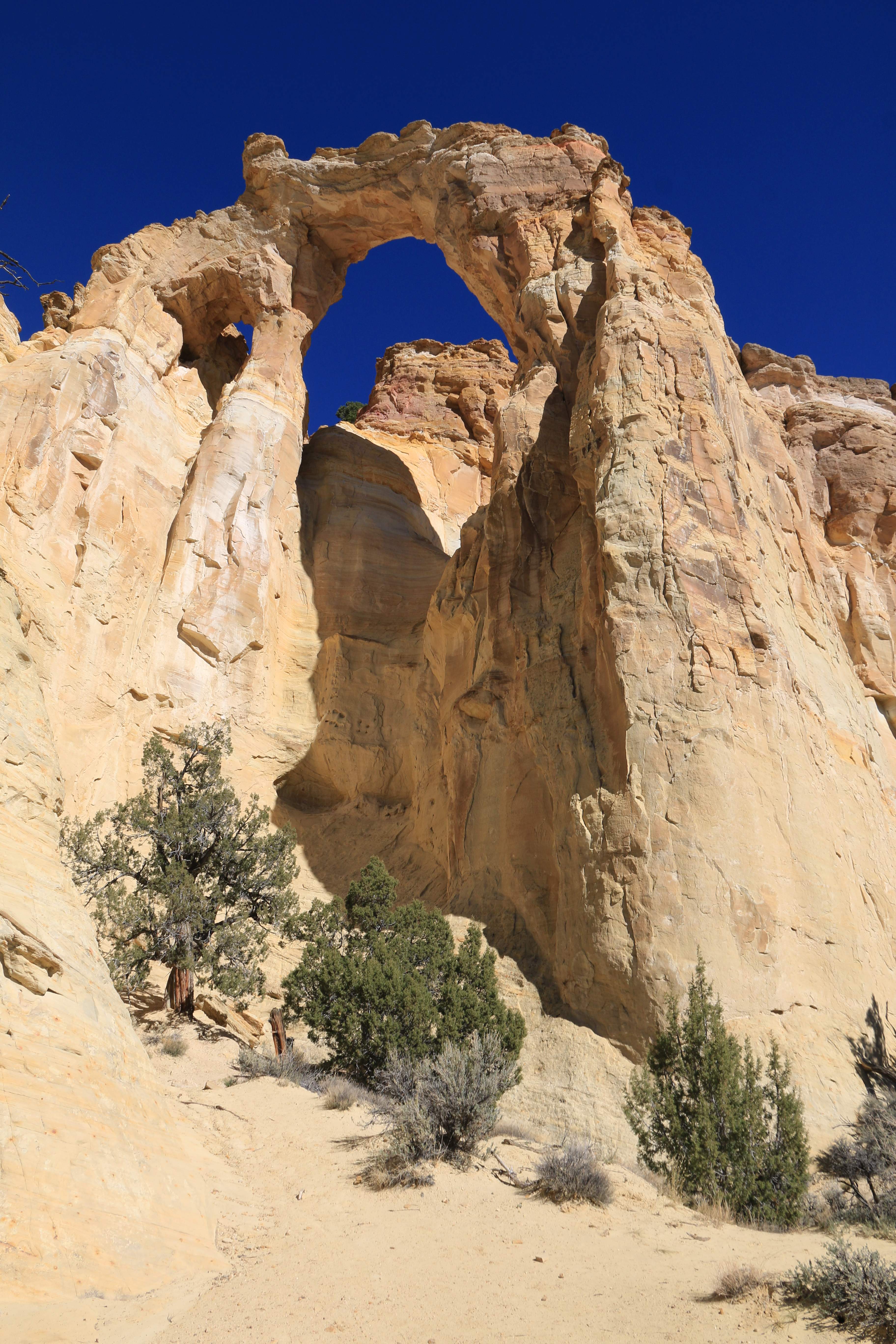 Escalante